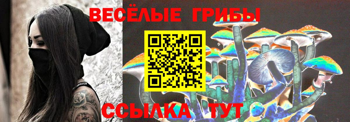 Ярцево  Галлюциногенные грибы прущие грибы  Вход с VPN 